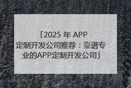 2025 年 APP 定制开发公司推荐：靠谱专业的APP定制开发公司